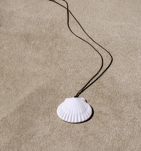Shell 03 