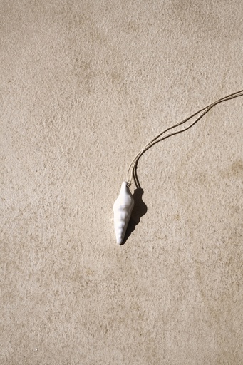 Shell 02